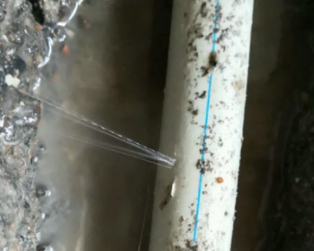 临清卫生间测漏水多少钱