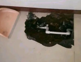 临清卫生间测漏水多少钱
